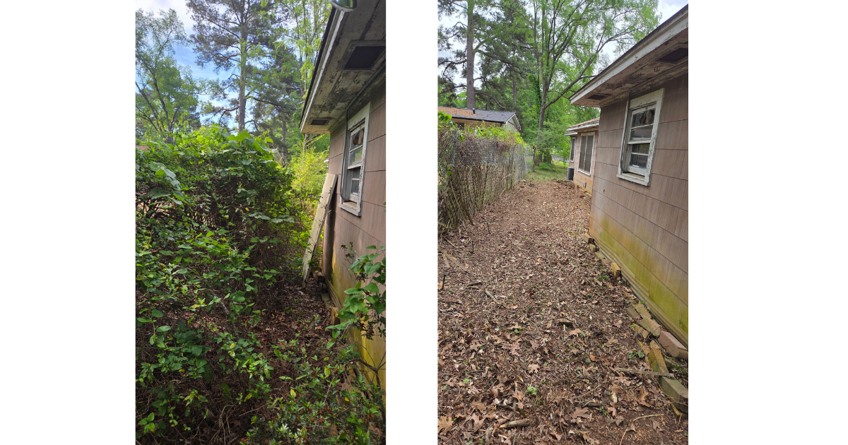 Before and after brush and debris cleanup project