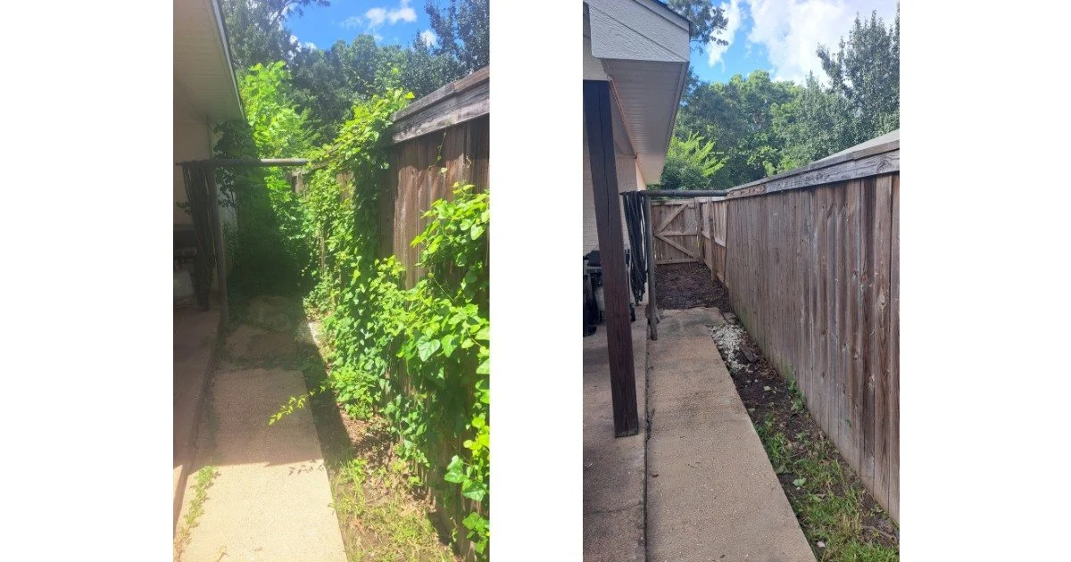 Before and after fence line clearing and overgrowth removal