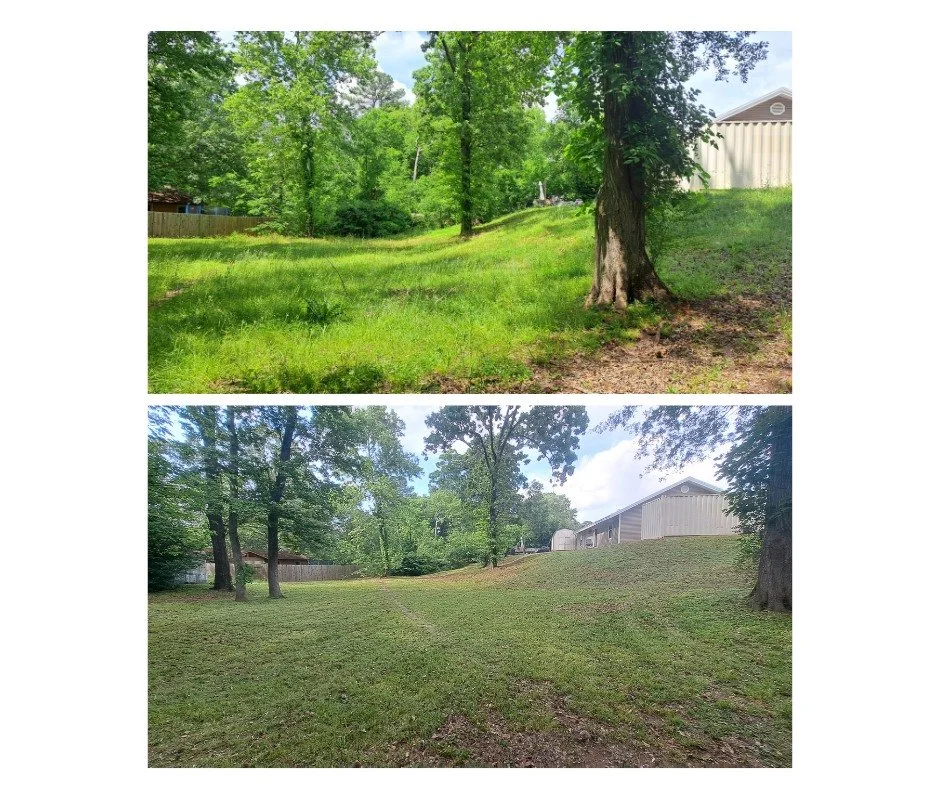 Before and after mowing an overgrown backyard lawn