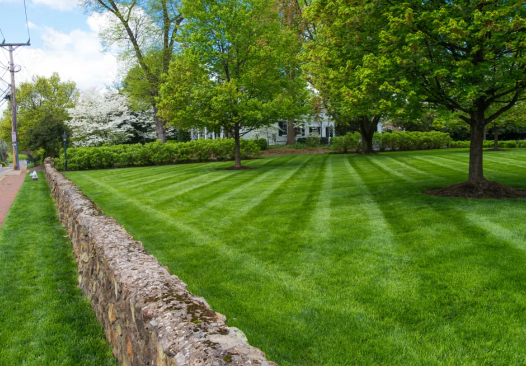 Lush green lawn in Kilgore, Texas